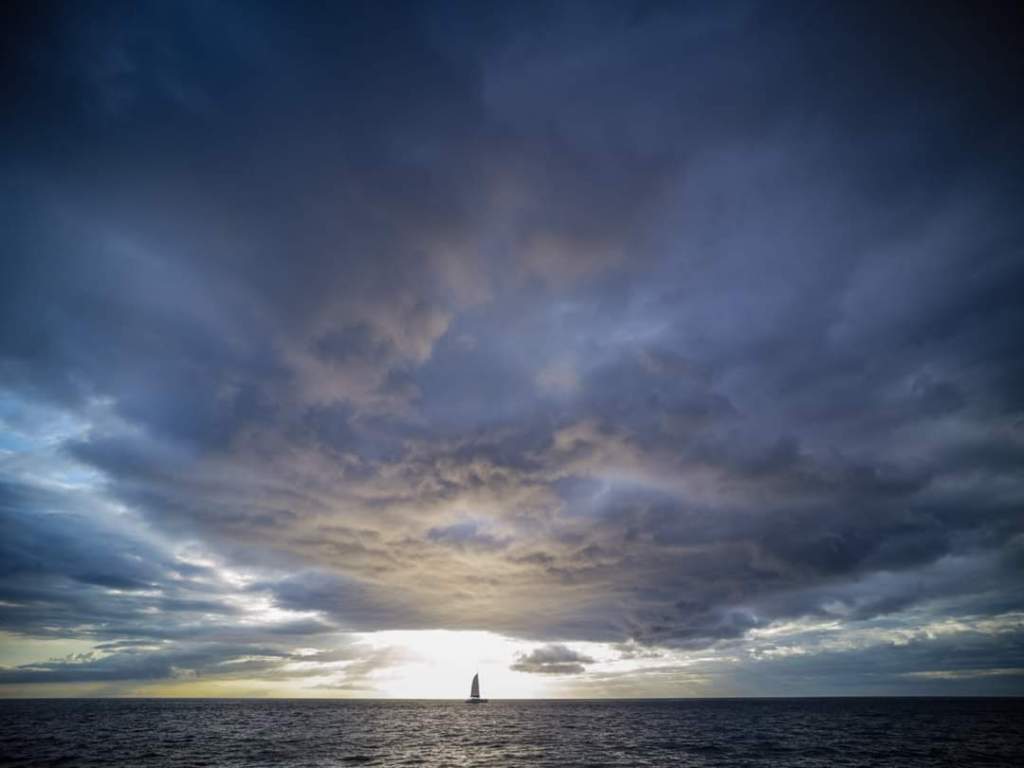 The cat’s (officially) out of the bag